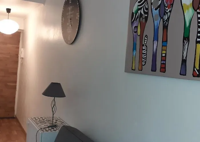 Lägenhet Spacieux T4 Plein Centre La Coupole *